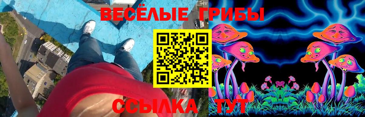 Галлюциногенные грибы Psilocybine cubensis  Вход с VPN  Знаменск 